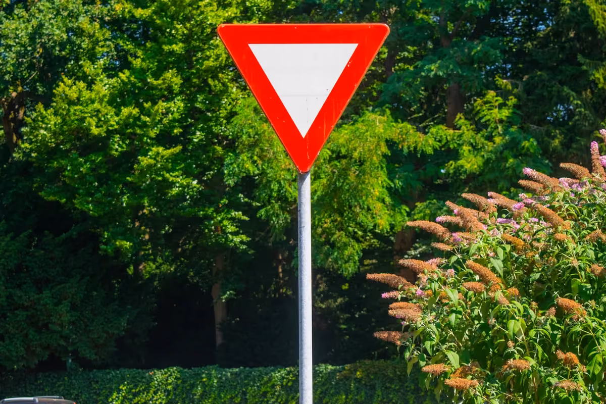 Afbeelding bij vraag 35