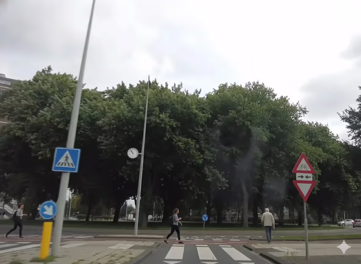 Afbeelding bij vraag 19