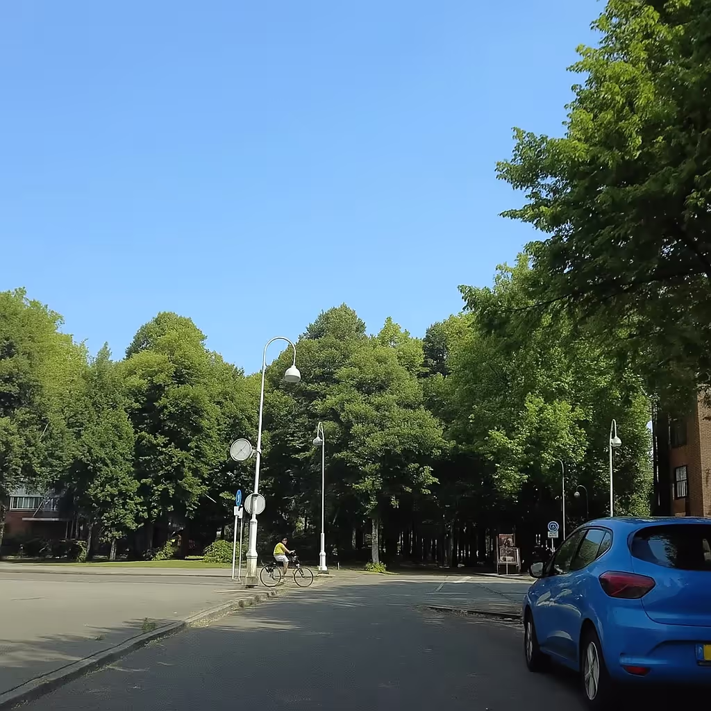 Afbeelding bij vraag 11