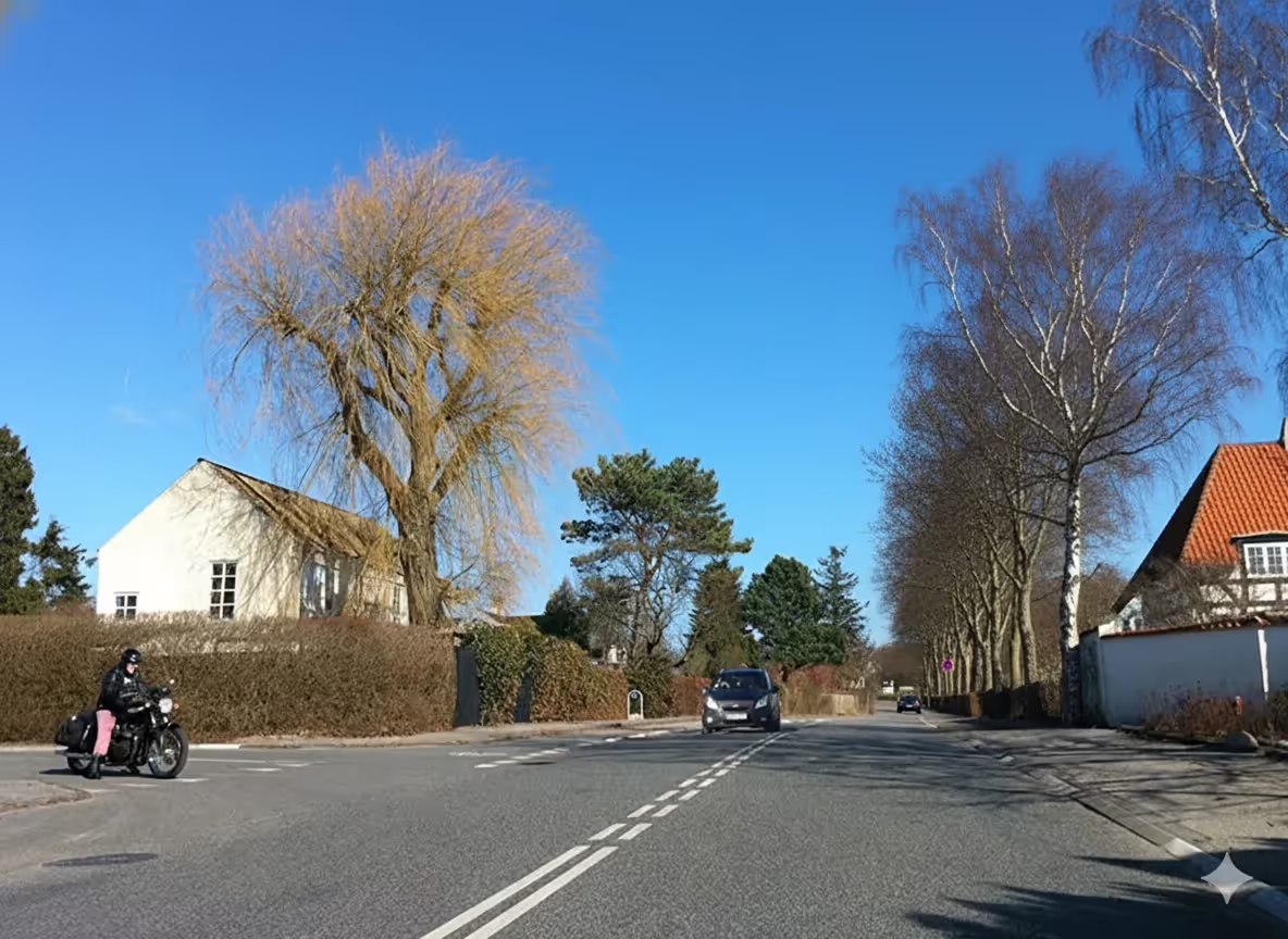 Afbeelding bij vraag 47