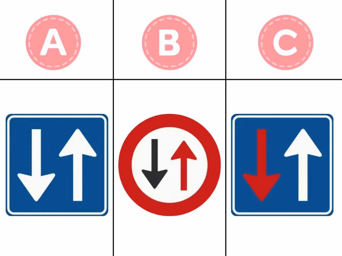 Afbeelding bij vraag 49